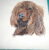 Charming Cocker Spaniel Tote Bag – Perfect for Dog Lovers