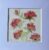 Exquisite Original Watercolour Flowers in 15cm Square Mount