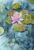 Handpainted A5 Lily Pond ‘Thinking of You’ Card