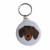 Dachshund Dog Keyring on White Background