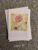 Set of Three Watercolour Botanical Cards – buy 2 get 3rd Free