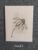 Cream Textured Botanical Card – Hand-Drawn Ink Illustration – Flower